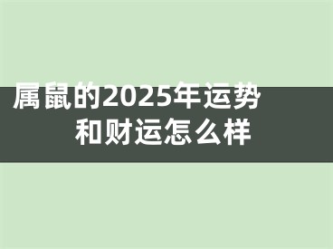 属鼠的2025年运势和财运怎么样
