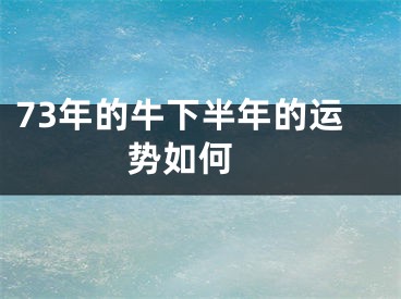 73年的牛下半年的运势如何 