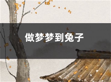 做梦梦到兔子
