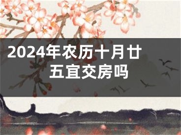 2024年农历十月廿五宜交房吗