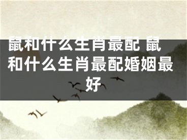鼠和什么生肖最配 鼠和什么生肖最配婚姻最好