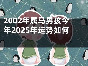 2002年属马男孩今年2025年运势如何 