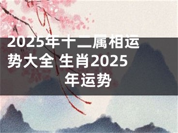 2025年十二属相运势大全 生肖2025年运势