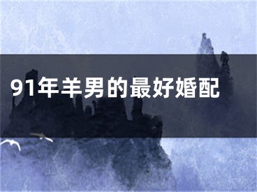 91年羊男的最好婚配