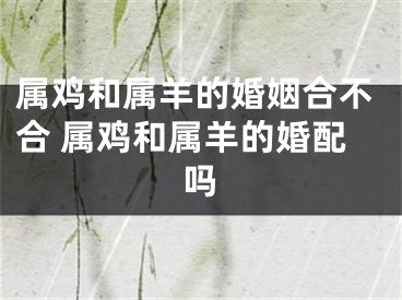 属鸡和属羊的婚姻合不合 属鸡和属羊的婚配吗
