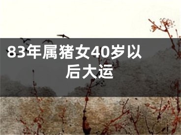 83年属猪女40岁以后大运