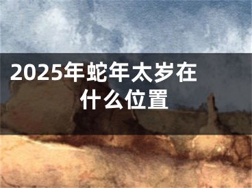 2025年蛇年太岁在什么位置
