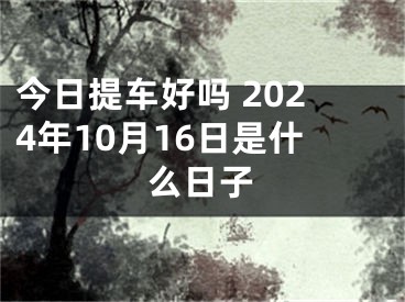 今日提车好吗 2024年10月16日是什么日子
