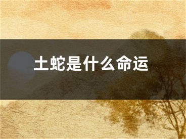土蛇是什么命运