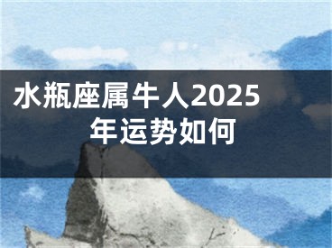 水瓶座属牛人2025年运势如何