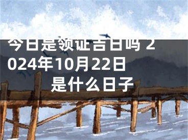 今日是领证吉日吗 2024年10月22日是什么日子