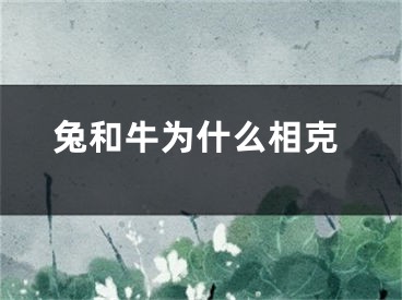 兔和牛为什么相克