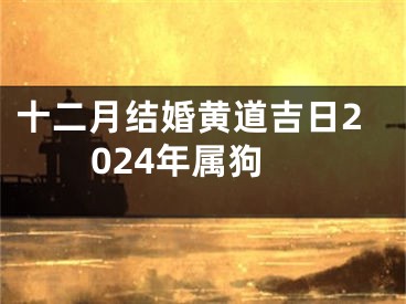 十二月结婚黄道吉日2024年属狗