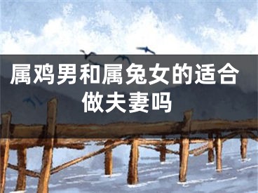 属鸡男和属兔女的适合做夫妻吗