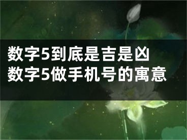 数字5到底是吉是凶 数字5做手机号的寓意
