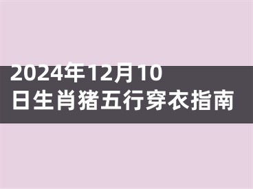 2024年12月10日生肖猪五行穿衣指南