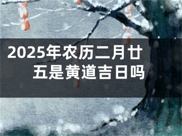 2025年农历二月廿五是黄道吉日吗