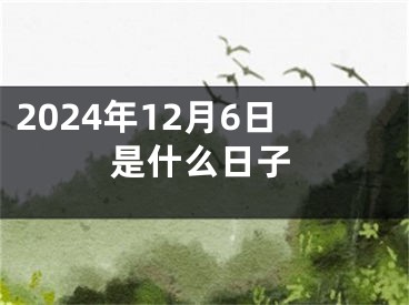 2024年12月6日是什么日子