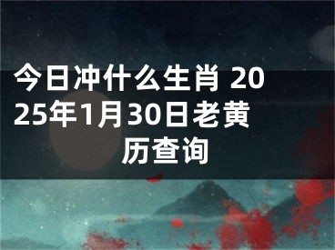今日冲什么生肖 2025年1月30日老黄历查询