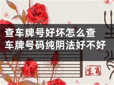 查车牌号好坏怎么查 车牌号码纯阴法好不好