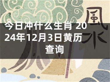 今日冲什么生肖 2024年12月3日黄历查询