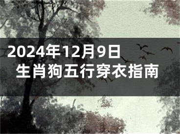 2024年12月9日生肖狗五行穿衣指南