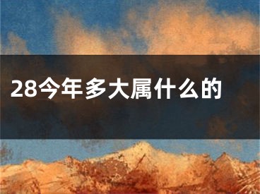 28今年多大属什么的