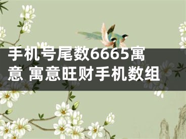 手机号尾数6665寓意 寓意旺财手机数组