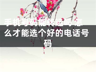 手机号码能转运吗 怎么才能选个好的电话号码
