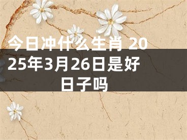 今日冲什么生肖 2025年3月26日是好日子吗 
