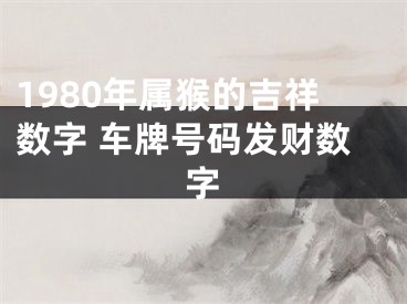 1980年属猴的吉祥数字 车牌号码发财数字