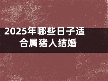 2025年哪些日子适合属猪人结婚 