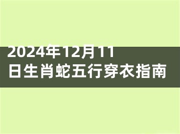 2024年12月11日生肖蛇五行穿衣指南