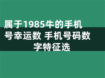 属于1985牛的手机号幸运数 手机号码数字特征选