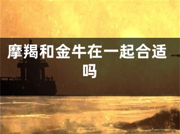 摩羯和金牛在一起合适吗