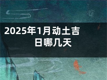2025年1月动土吉日哪几天