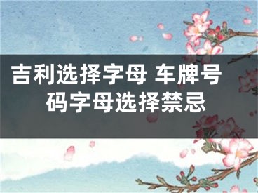 吉利选择字母 车牌号码字母选择禁忌