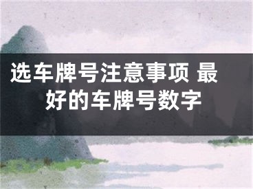 选车牌号注意事项 最好的车牌号数字