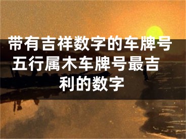 带有吉祥数字的车牌号 五行属木车牌号最吉利的数字