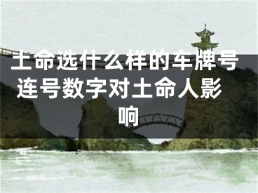 土命选什么样的车牌号 连号数字对土命人影响