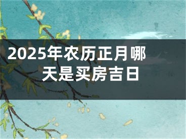 2025年农历正月哪天是买房吉日