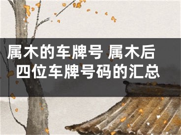 属木的车牌号 属木后四位车牌号码的汇总