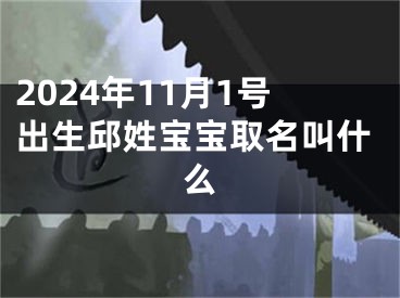 2024年11月1号出生邱姓宝宝取名叫什么