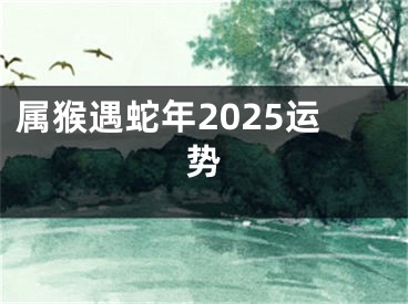 属猴遇蛇年2025运势