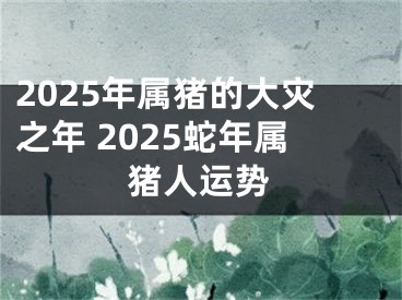 2025年属猪的大灾之年 2025蛇年属猪人运势