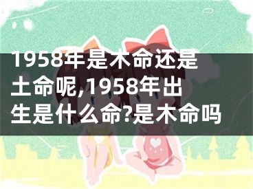 1958年是木命还是土命呢,1958年出生是什么命?是木命吗