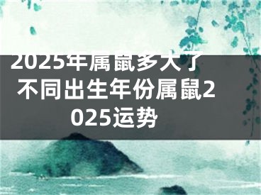 2025年属鼠多大了 不同出生年份属鼠2025运势