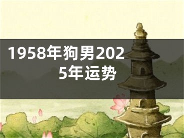1958年狗男2025年运势