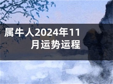属牛人2024年11月运势运程