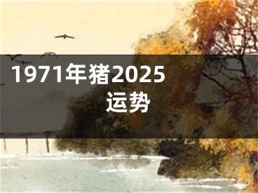 1971年猪2025运势